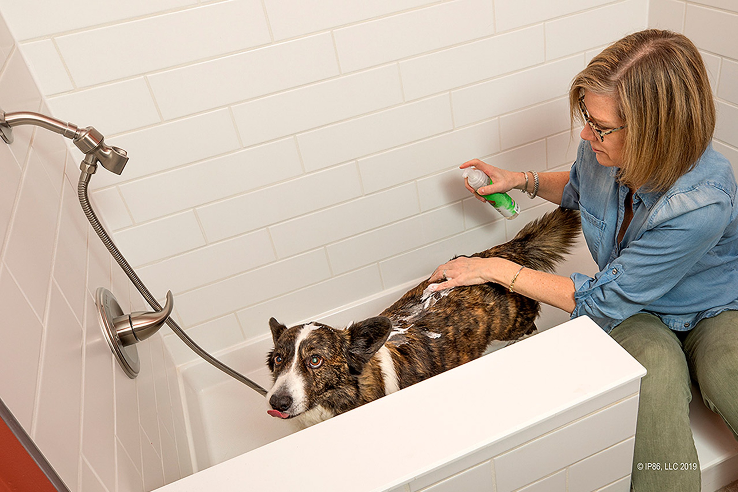 pet washing station